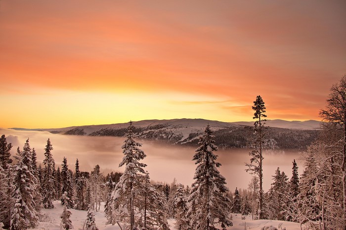 Winter forest with misty valley at sunset