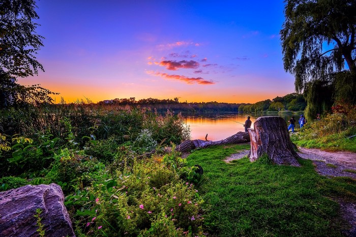 Sunset over a lake with people fishing and a tree stump