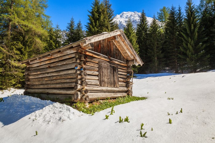 Log cabin in snowy Austrian Alps with spruce trees