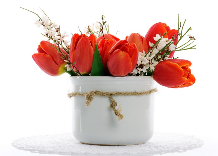 Red Tulips in a White Vase