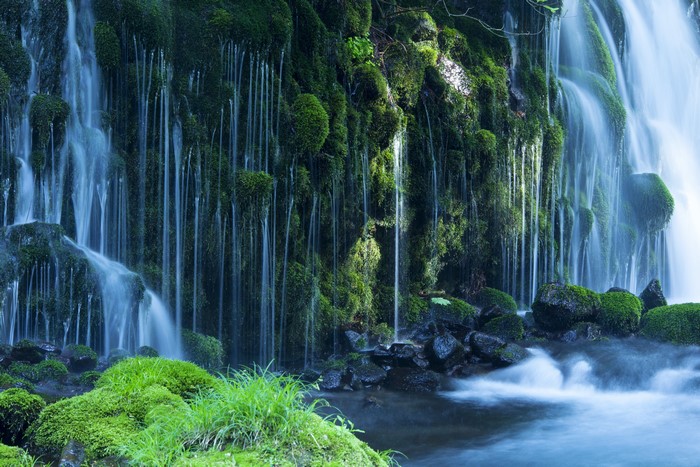 Mossy Waterfall with Flowing Water