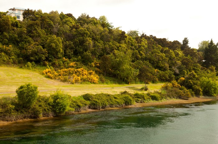 Waikato River, New Zealand, with forested hills and a house