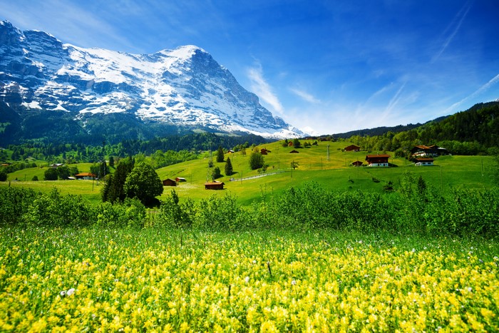 4K Switzerland Mountains Fields and Shrubs