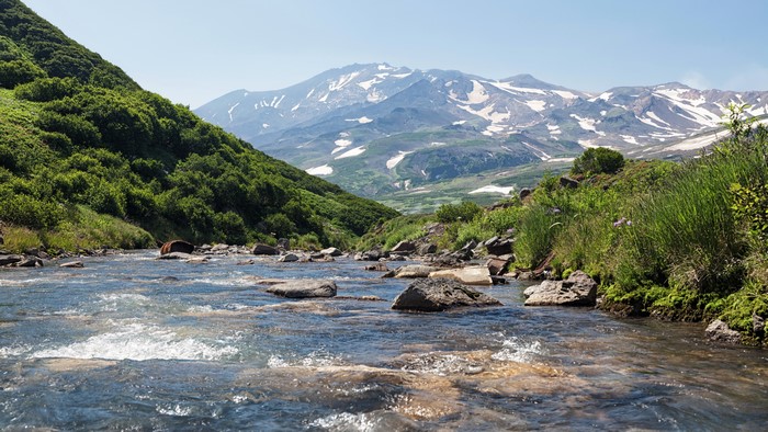 Bear in a river with mountains in Kamchatka, Russia