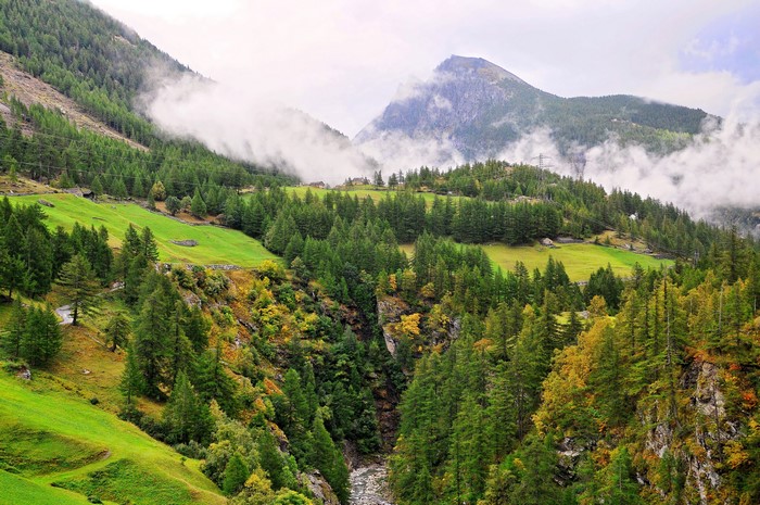 Mountain valley with forests and grasslands in Switzerland