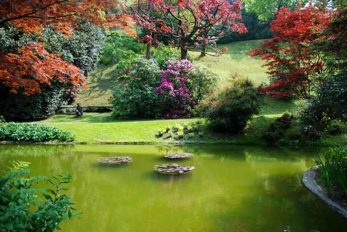 Park with pond and colorful trees