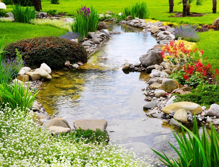 Park stream with stones and flowers