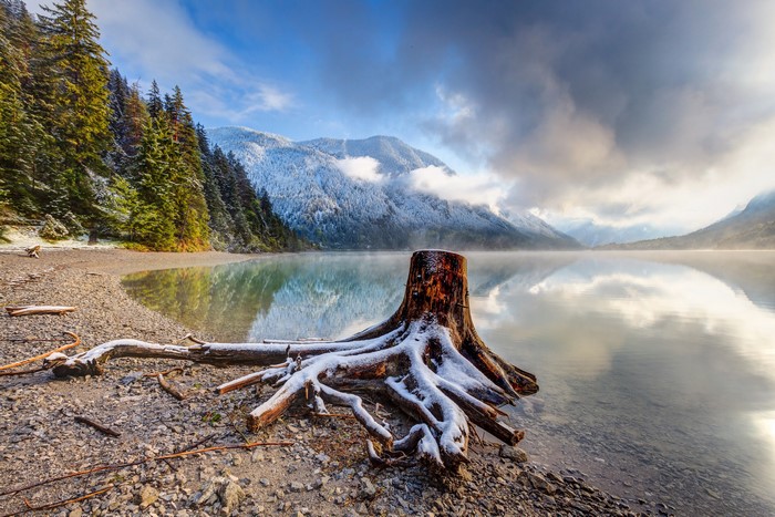 Tree stump by a misty lake with snow-capped mountains in Tirol, Austria