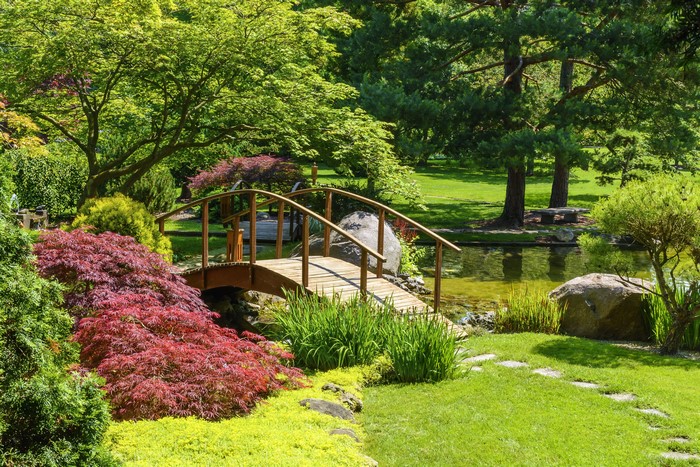 Japanese Garden with Wooden Bridge and Pond
