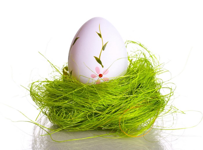 Easter egg in a nest