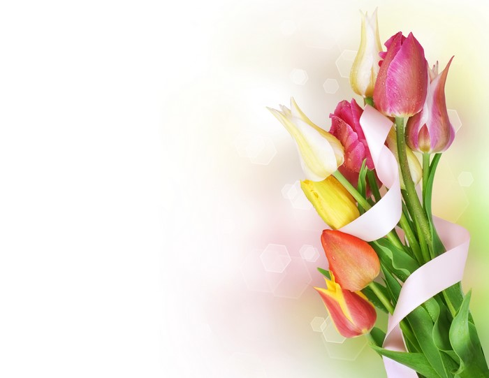 Bouquet of Tulips with Pink Ribbon