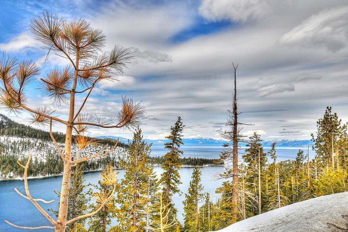 Lake Tahoe Scenery with Pine Trees and Snow
