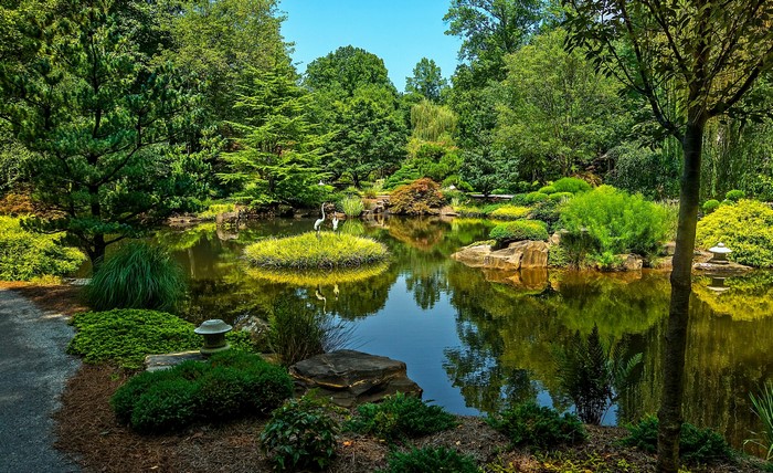 Gibbs Gardens Pond with Cranes and Trees
