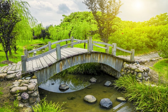 Wooden bridge over a stream in a park
