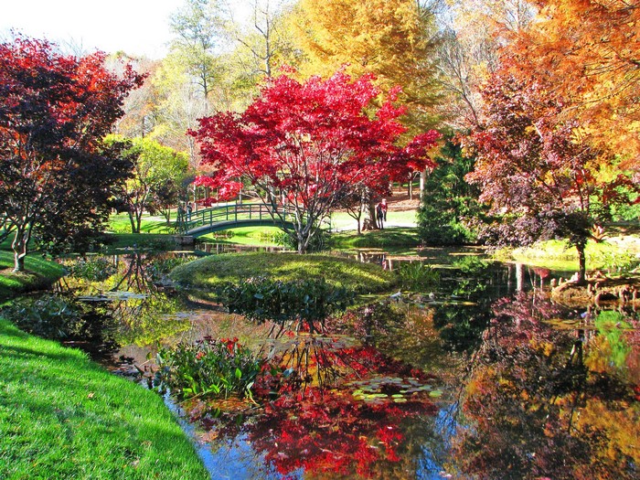 Gibbs Gardens in Ball Ground, USA during Autumn