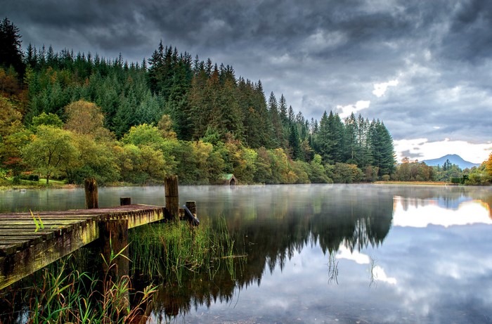 Wooden dock on a misty lake with a forest backdrop