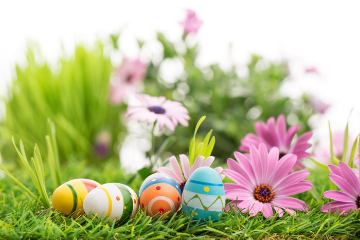 Easter Eggs on Grass with Pink Flowers