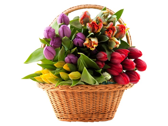 4K Tulips in a Wicker Basket