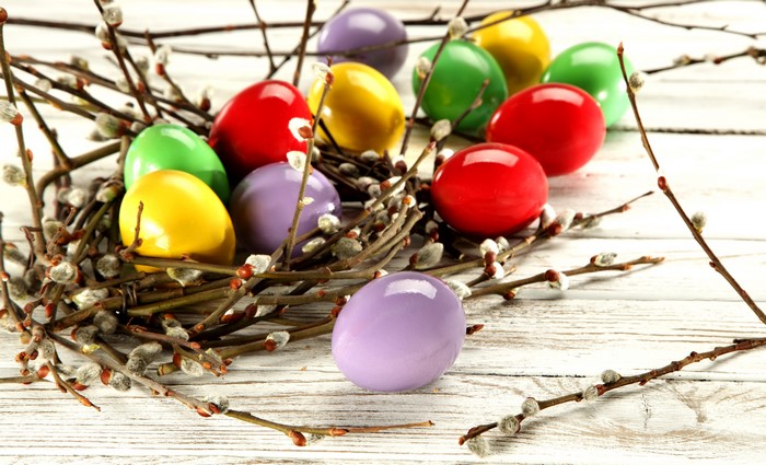 Easter eggs in a nest with branches