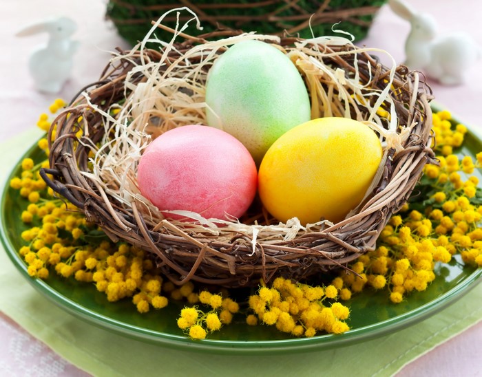 Easter eggs in a nest with yellow flowers