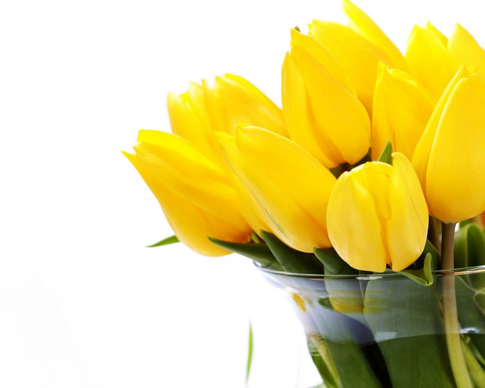 Yellow Tulips in a Glass Vase