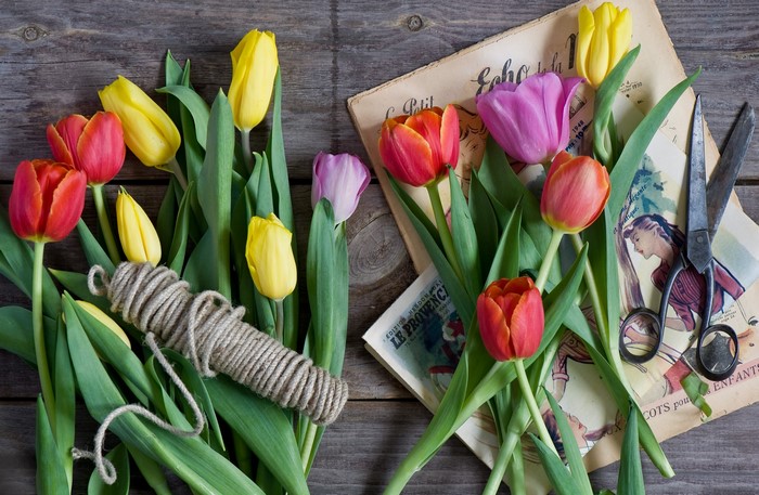 Tulips with twine and scissors on wooden table