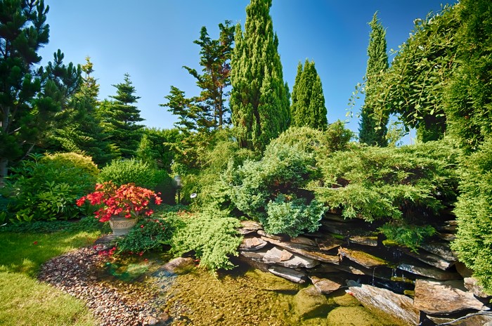 Landscaped garden with pond and various trees and shrubs