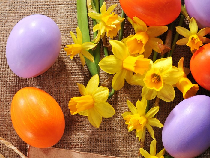 Easter Eggs and Daffodils on Burlap