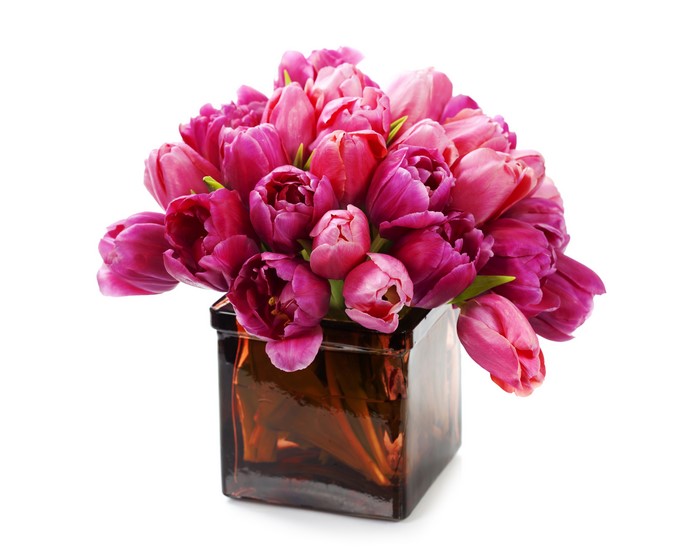 Bouquet of Pink Tulips in a Square Vase