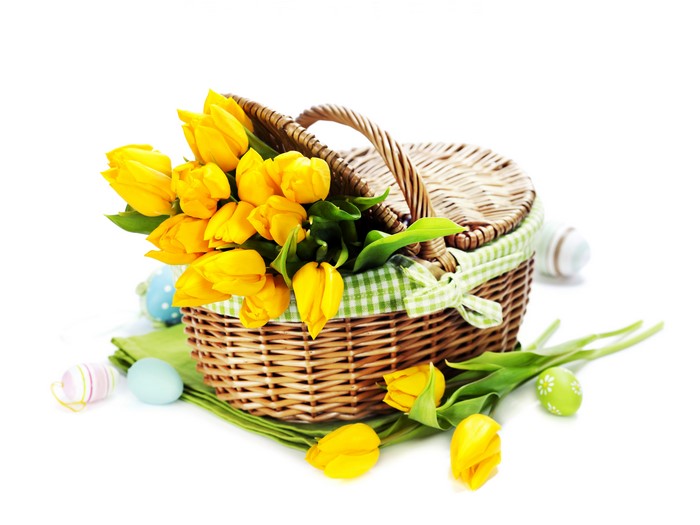 Yellow Tulips in Wicker Basket with Easter Eggs