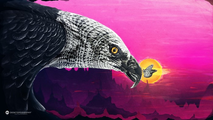 Eagle and butterfly against a vibrant sunset