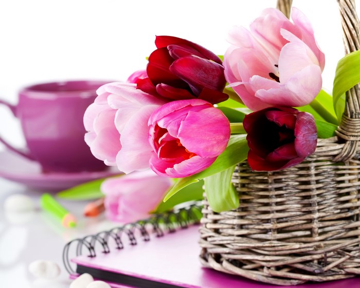 Tulips in a wicker basket with a purple cup
