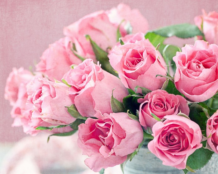 Pink Roses in a Vase