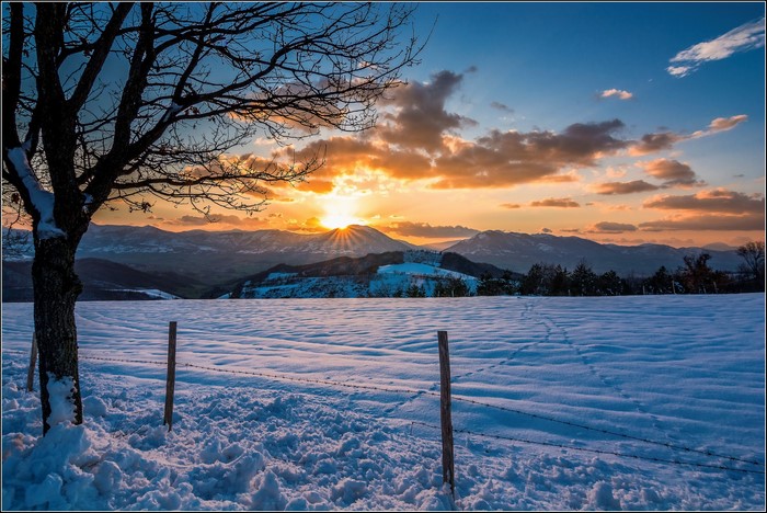Snowy landscape at sunset with mountains and tree
