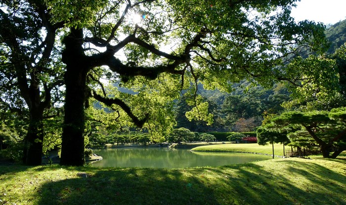 Ritsurin Garden pond with trees and sunlight