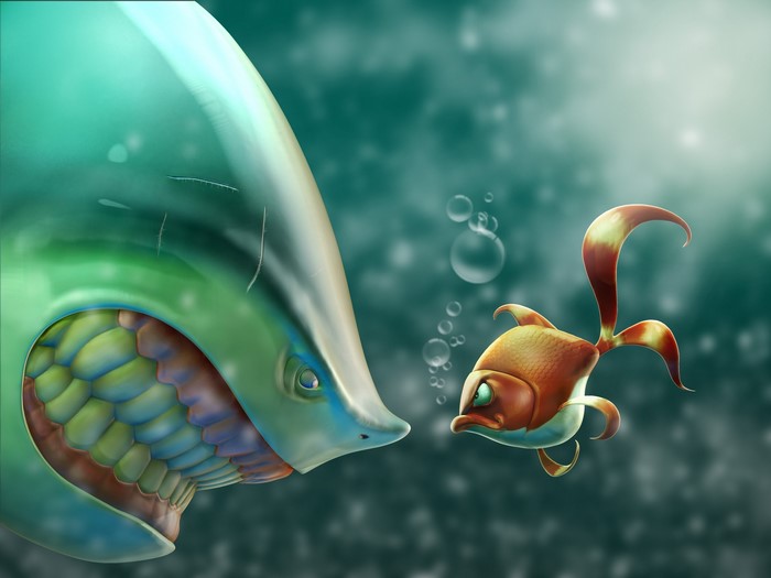 Shark about to eat a goldfish