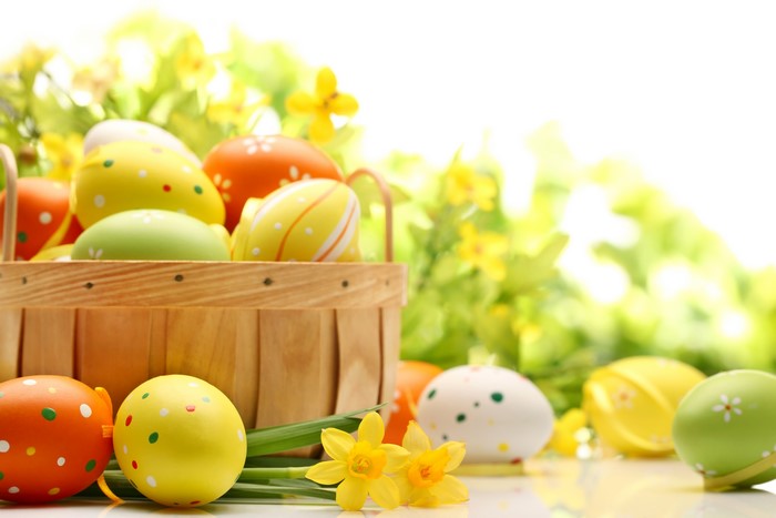 Easter eggs in a wicker basket with daffodils