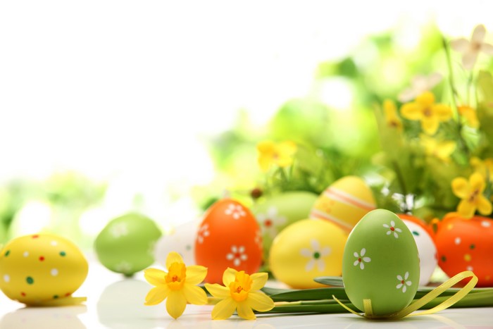 Easter eggs and daffodils with green background