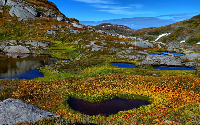 Mountain landscape with small ponds and autumn foliage