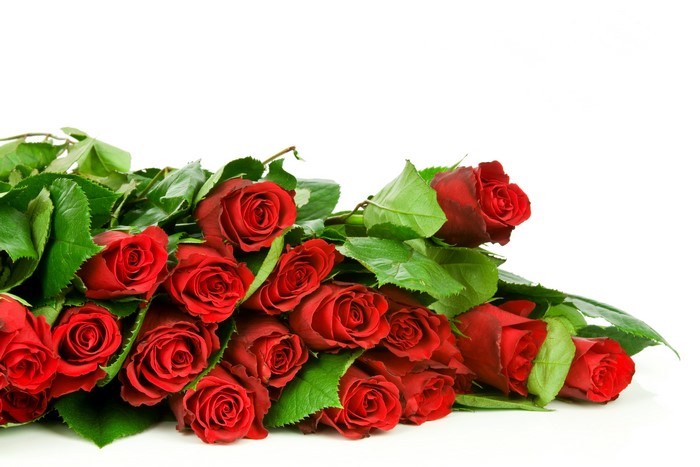 Many Red Roses