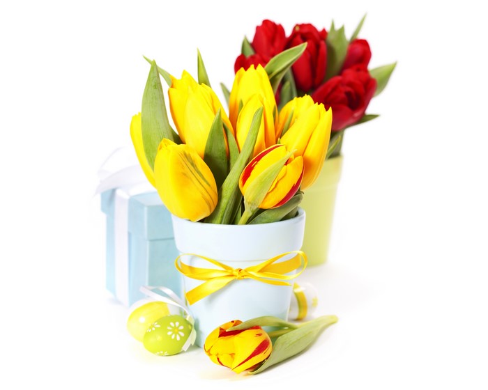 Easter Tulips with Gift and Eggs