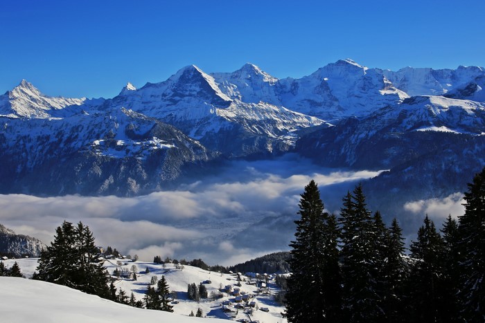 Beatenberg Seasons Winter Switzerland Mountains Spruce Snow