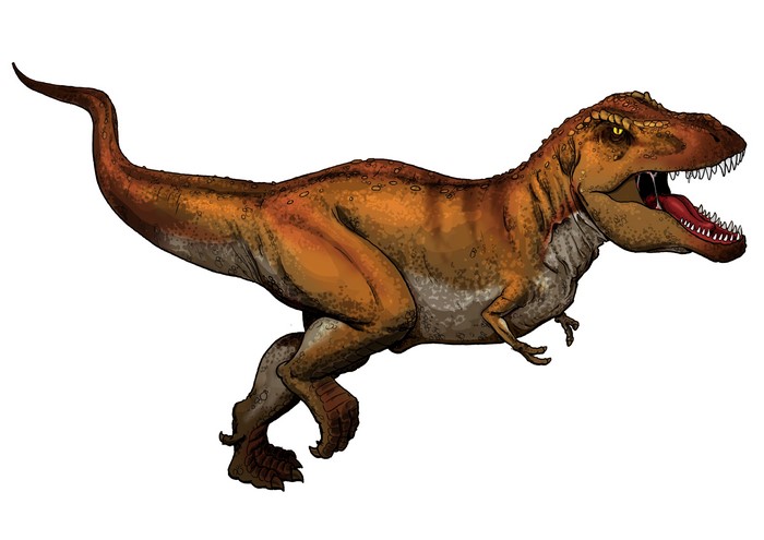 Tyrannosaurus Rex Dinosaur
