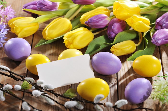 Easter Tulips and Eggs with Blank Card