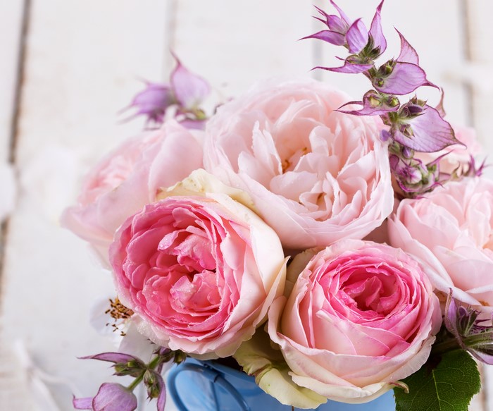 Pink Roses in a Blue Vase
