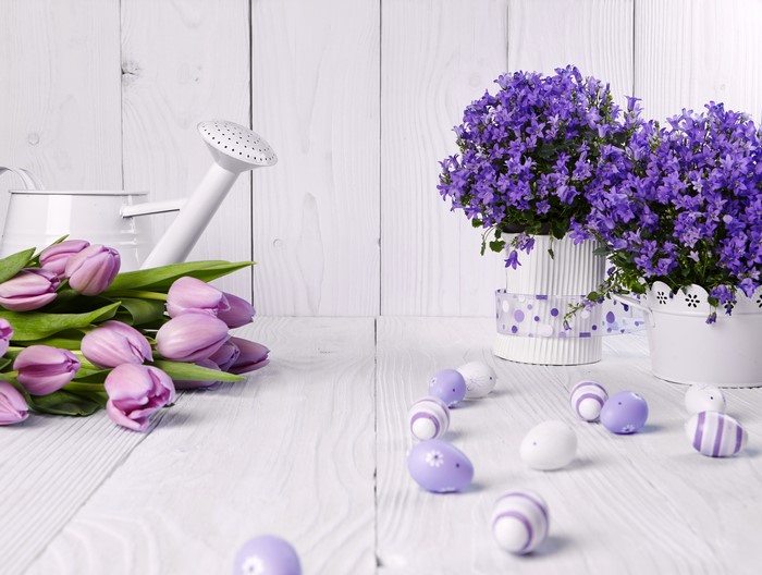 Easter Tulips and Campanula with Watering Can and Eggs