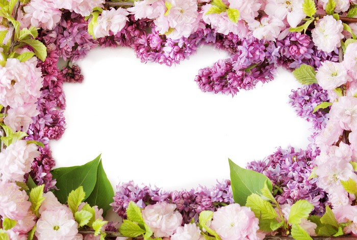 Pink and purple flowers framing a white space