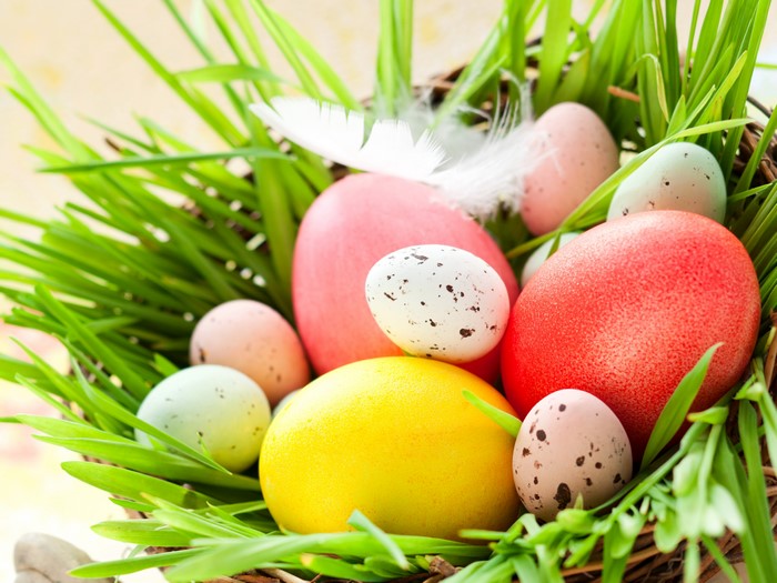 Easter eggs in a nest with grass and feathers