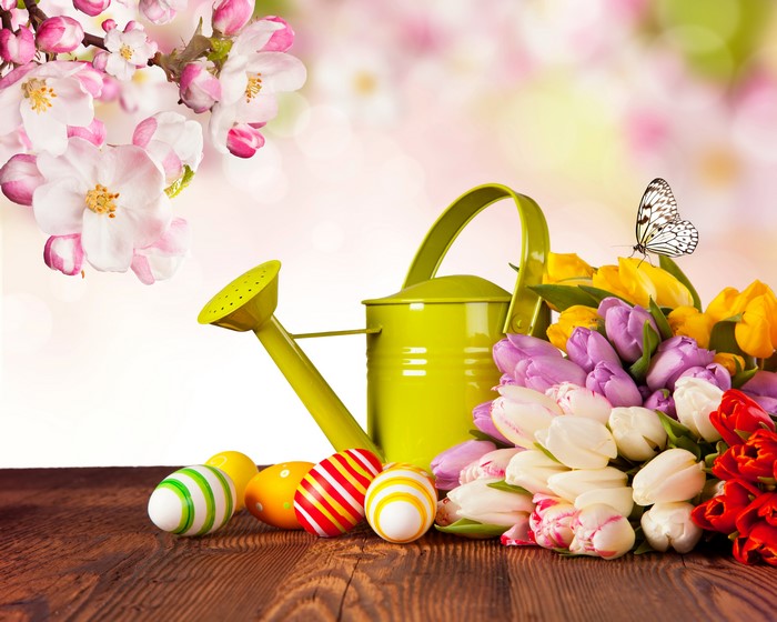 Easter Tulips, Butterflies, and Eggs with Watering Can