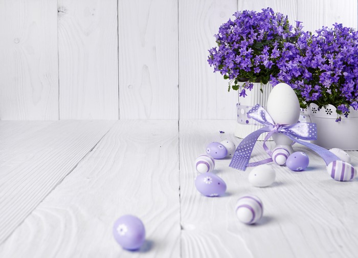 Easter eggs and purple flowers on white wooden background